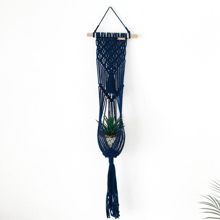 Lavanya macrame Plant Hanger with different colour variations Artisanal macrame plant hanger with lush greenery, showcasing the warmth of natural decor - Yashi Designs