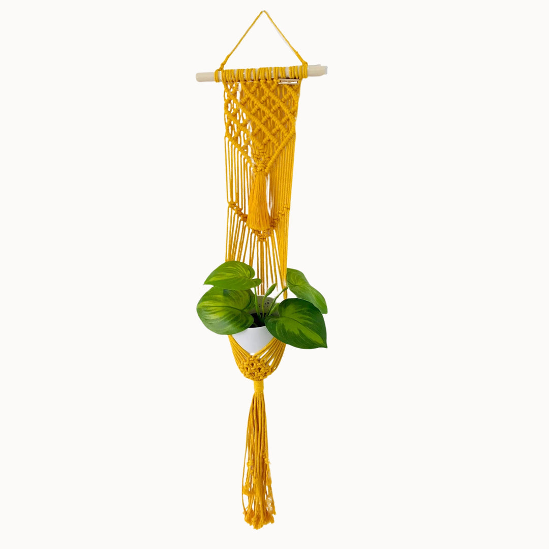Lavanya macrame Plant Hanger with different colour variations Artisanal macrame plant hanger with lush greenery, showcasing the warmth of natural decor - Yashi Designs