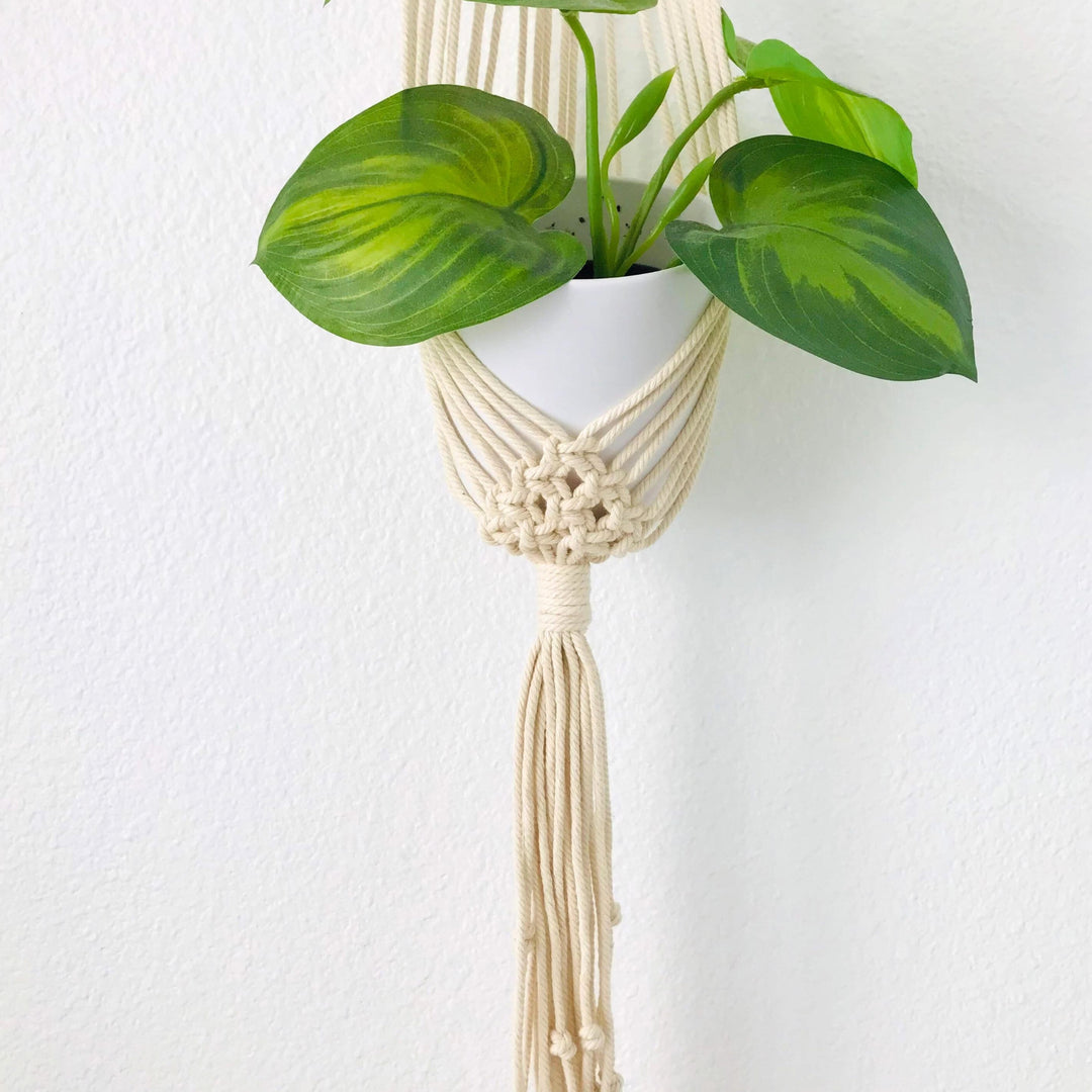 Lavanya macrame Plant Hanger with different colour variations Artisanal macrame plant hanger with lush greenery, showcasing the warmth of natural decor - Yashi Designs