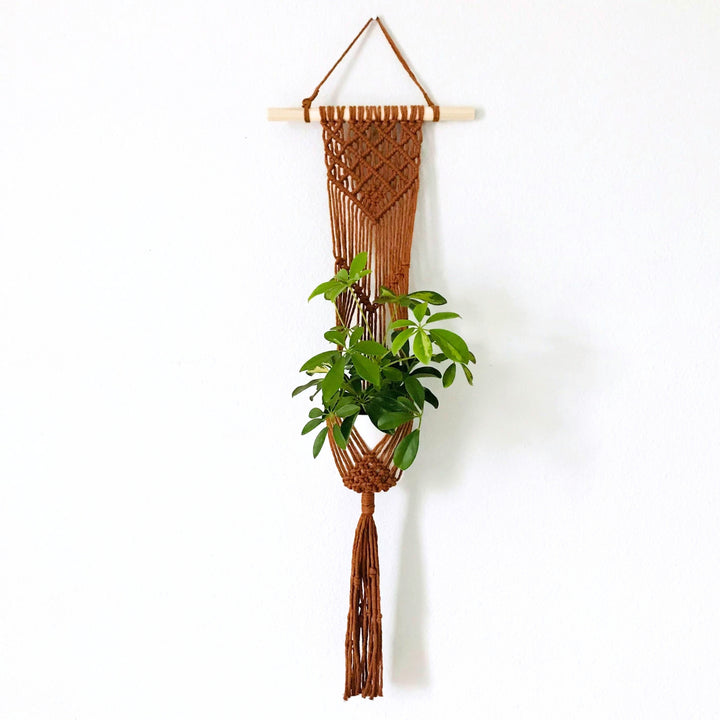 Lavanya macrame Plant Hanger with different colour variations Artisanal macrame plant hanger with lush greenery, showcasing the warmth of natural decor - Yashi Designs