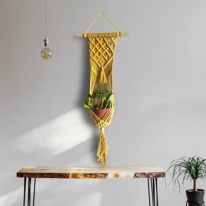 Macrame Plant Hanger 'Sunshine Lavanya' with minimalist unique macrame design touch to modern interiors - Yashi Designs