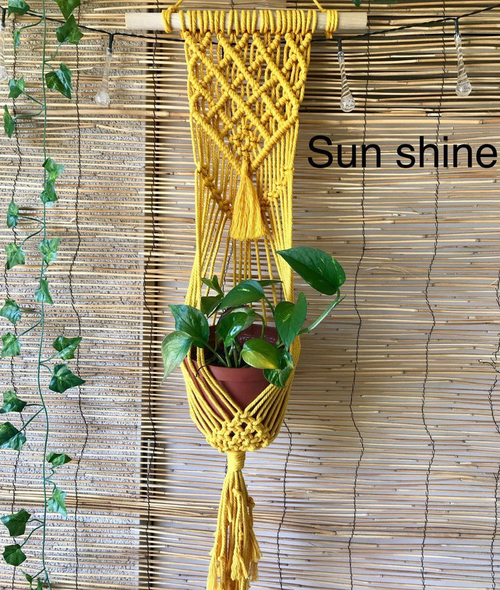 Macrame Plant Hanger 'Sunshine Lavanya' with minimalist unique macrame design touch to modern interiors - Yashi Designs