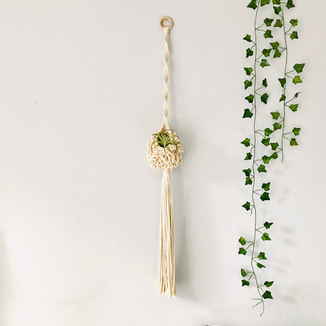 Handcrafted 'Fluffy Nest' air plant hanger in a natural oat color, adding a touch of organic elegance to the modern home - Yashi Designs