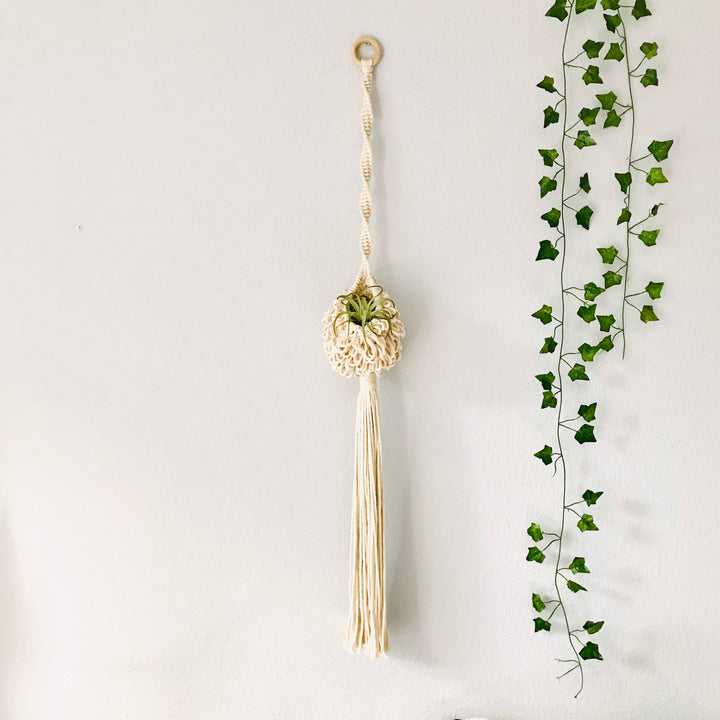 Handcrafted 'Fluffy Nest' air plant hanger in a natural oat color, adding a touch of organic elegance to the modern home - Yashi Designs