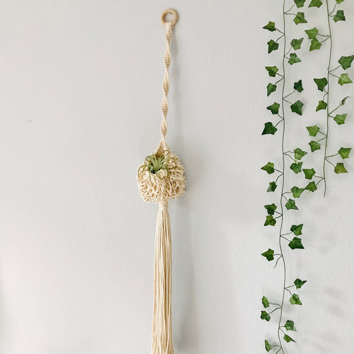 Handcrafted 'Fluffy Nest' air plant hanger in a natural oat color, adding a touch of organic elegance to the modern home - Yashi Designs