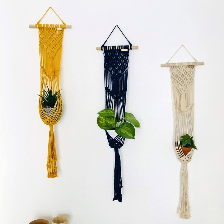Lavanya macrame Plant Hanger with different colour variations Artisanal macrame plant hanger with lush greenery, showcasing the warmth of natural decor - Yashi Designs