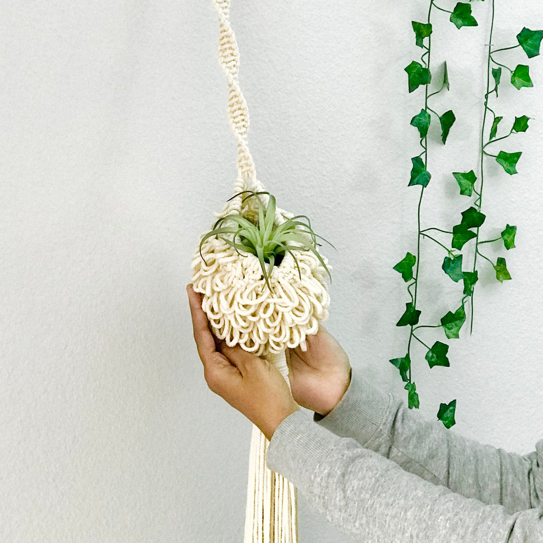 Handcrafted 'Fluffy Nest' air plant hanger in a natural oat color, adding a touch of organic elegance to the modern home - Yashi Designs